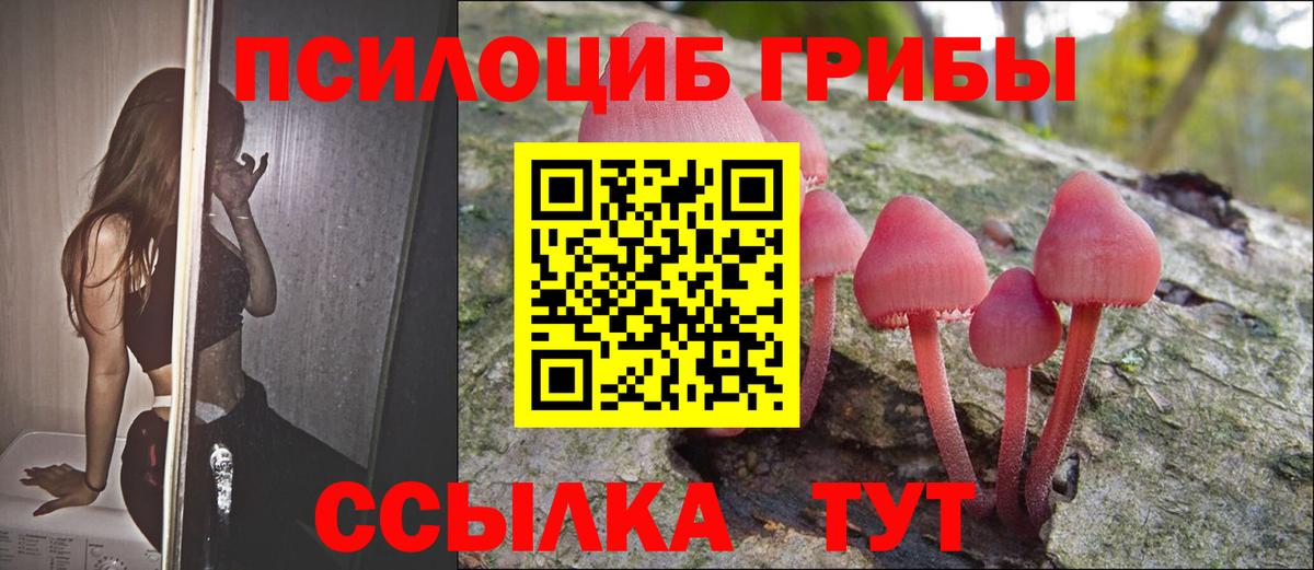 Советский  Псилоцибиновые грибы Magic Shrooms  сколько стоит  Галлюциногенные грибы ЛСД  Вход с VPN 